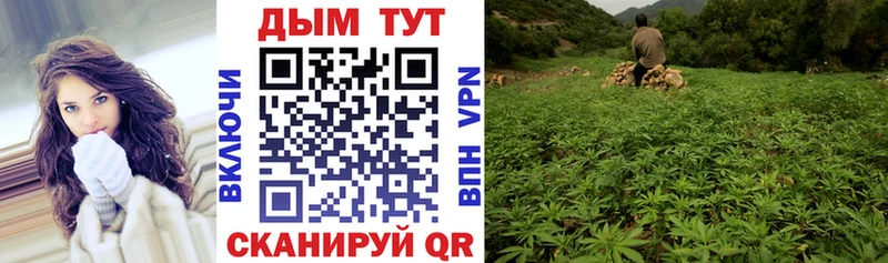 Конопля LSD WEED  закладка  omg ссылки  Новосокольники 
